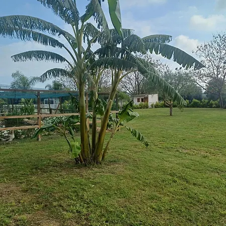Brunello Con Veranda E Piscina Condivisa