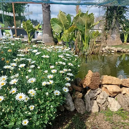 Apartman Brunello Con Veranda E Piscina Condivisa